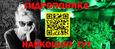 прущие крисы Изобильный